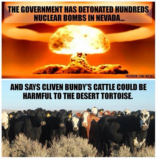 Bundy ranch